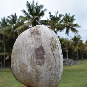 DSC_0199.JPG-1-768x512